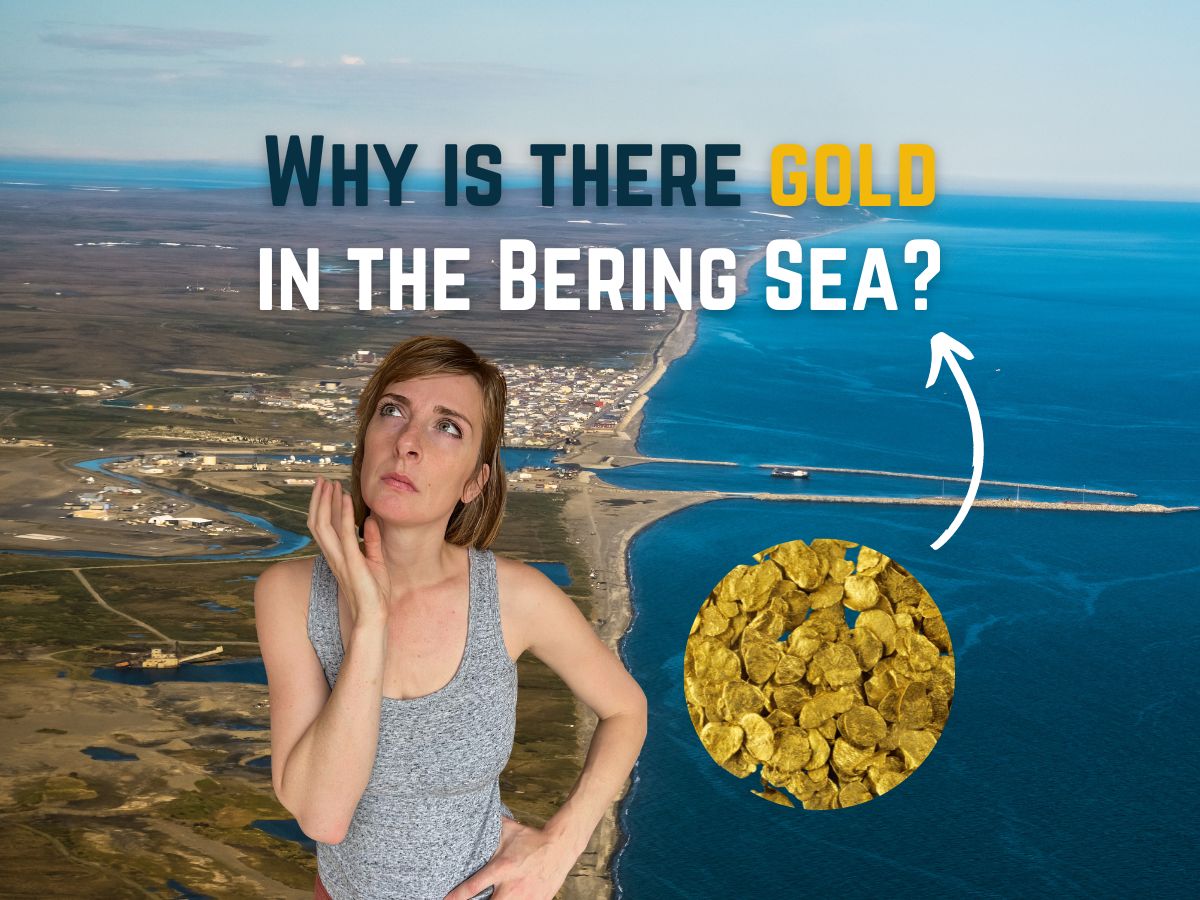 How did gold get into the Bering Sea?