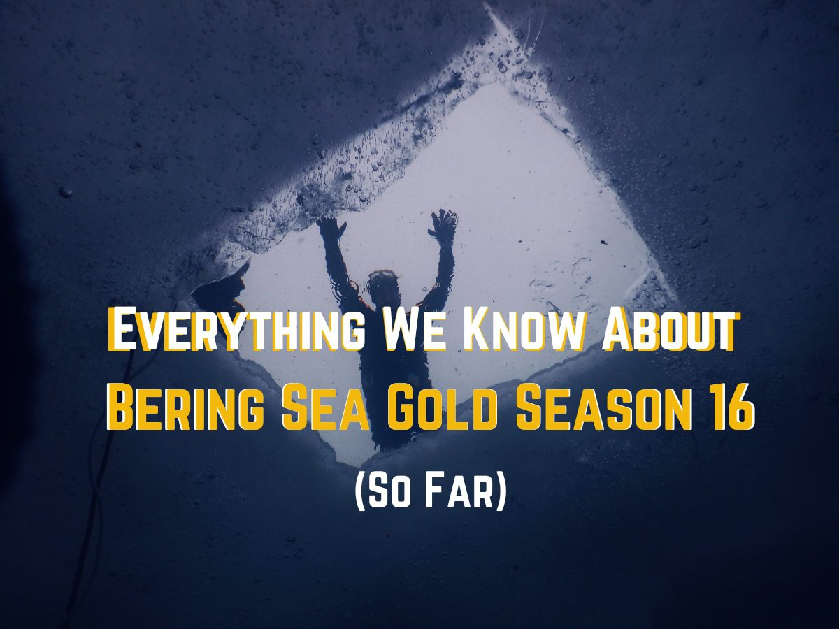 Gold Divers New Season