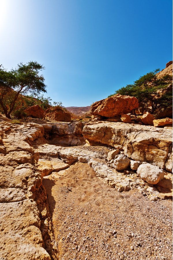 natural gold traps