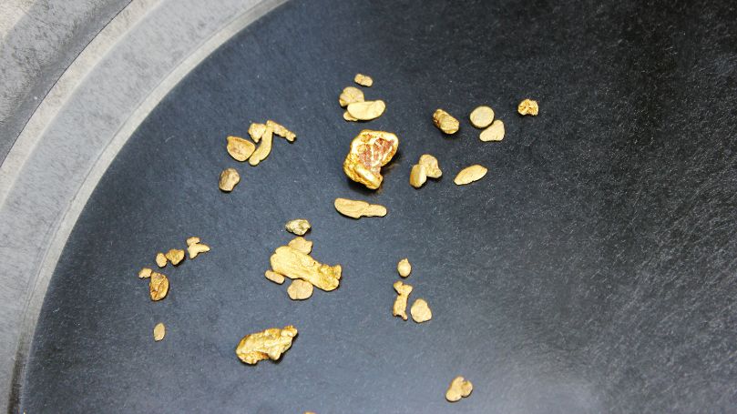gold pickers vs gold nuggets