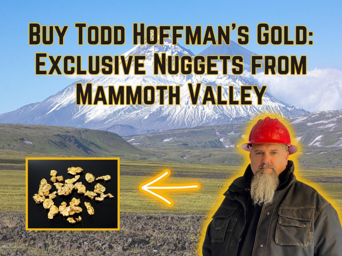 Buy gold from Todd Hoffman